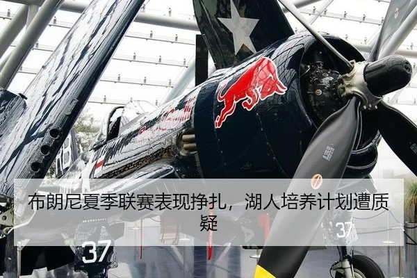 布朗尼夏季联赛表现挣扎，湖人培养计划遭质疑